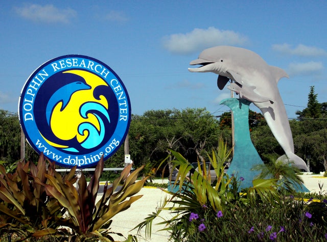 Dolphin Fluke Pendants And Charm Whistles Dolphin Research Center