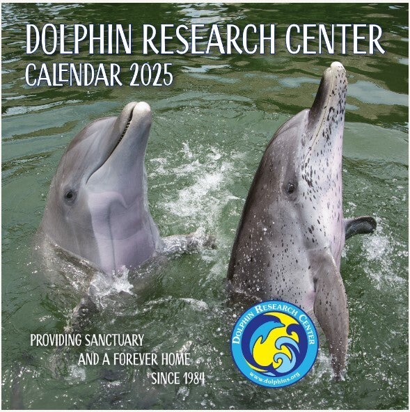 2025 Calendar Dolphin Research Center Gift Shop
